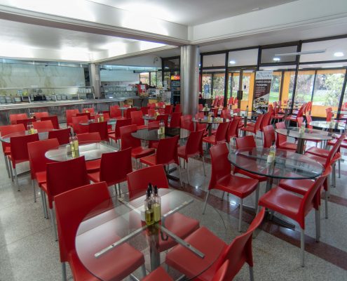 catering servicio de alimentaciÃ³n